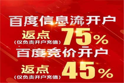 推广竞价实战经验：成功案例分享与启示